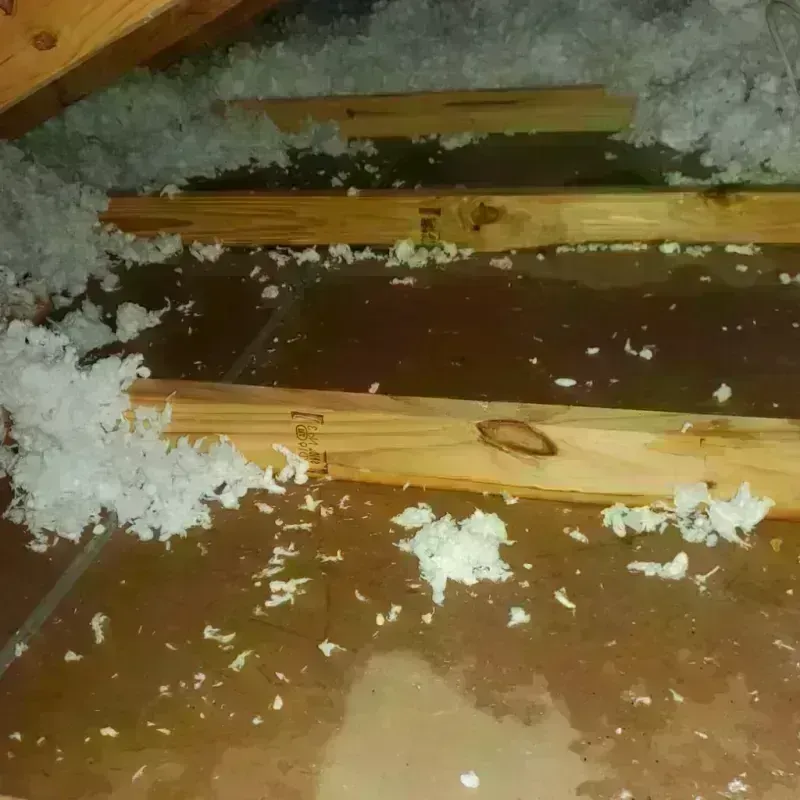 Attic Water Damage in Goldfield, NV