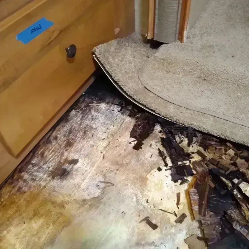 Wood Floor Water Damage in Goldfield, NV